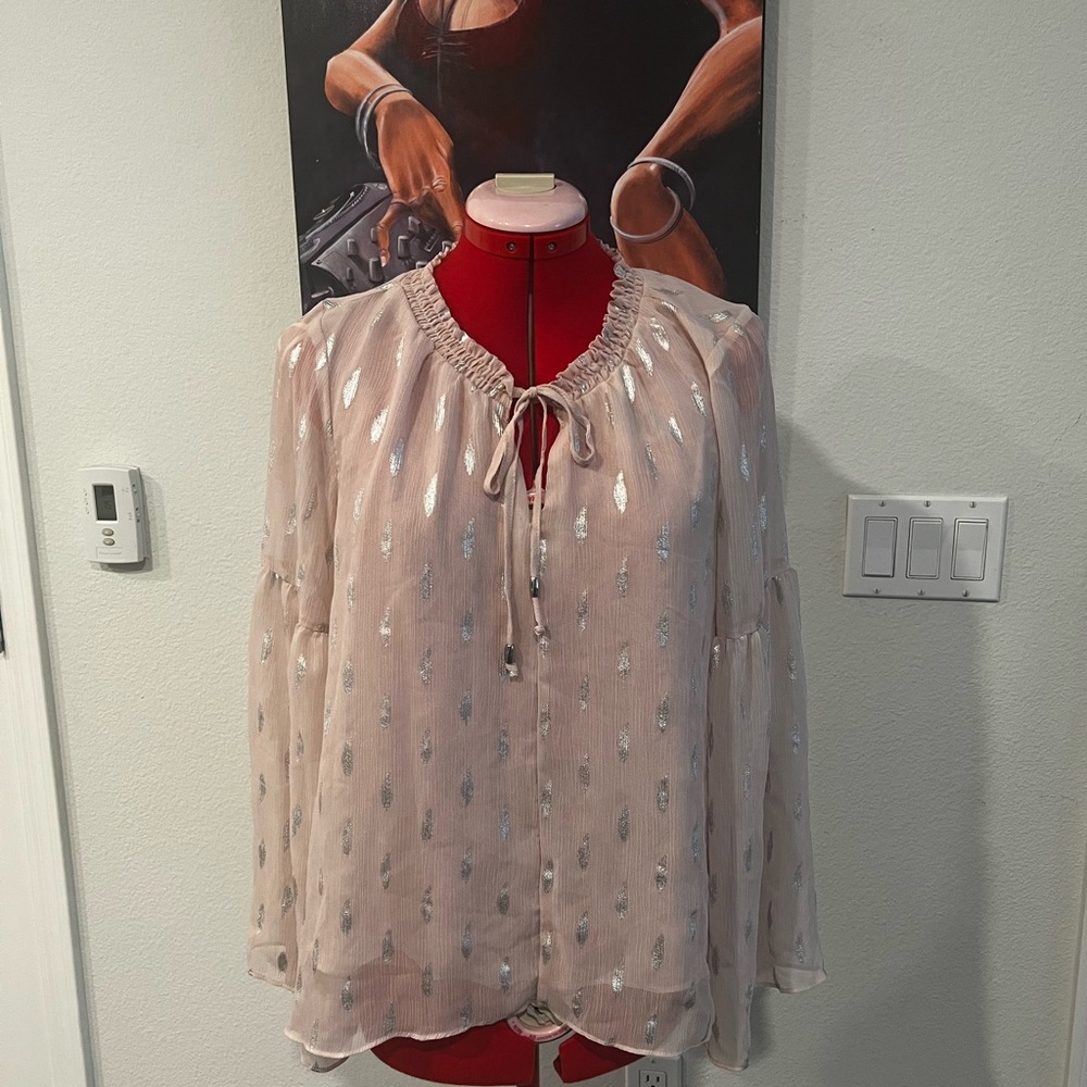 Jennifer Lopez Sheer Pink and Silver Blouse